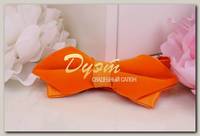 Бархатная бабочка 'Orange'